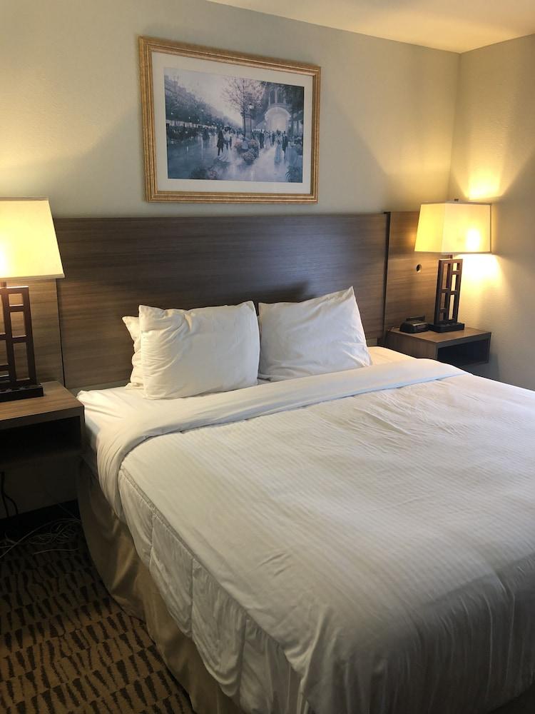 Clarion Pointe Charleston - West Ashley Hotel Kültér fotó